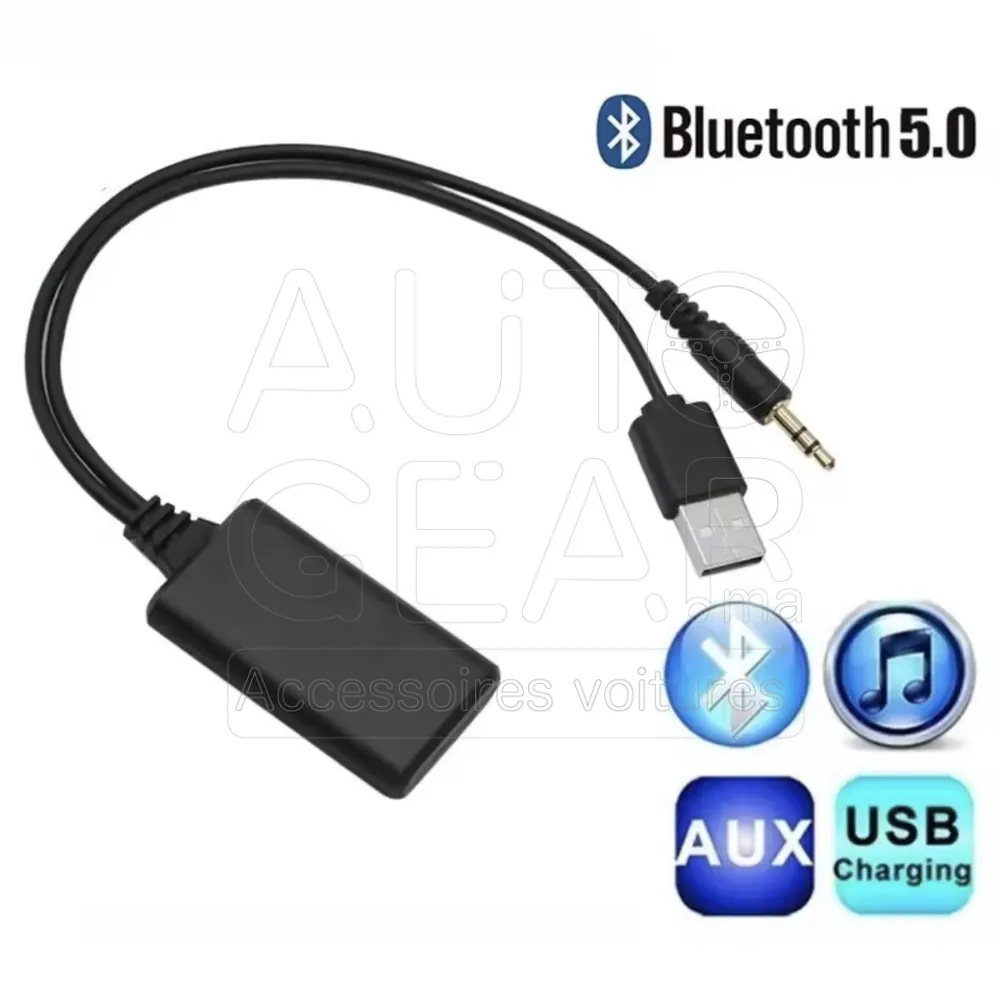 Adaptateur Bluetooth 5.0 USB AUX 2 en 1 Émetteur Récepteur