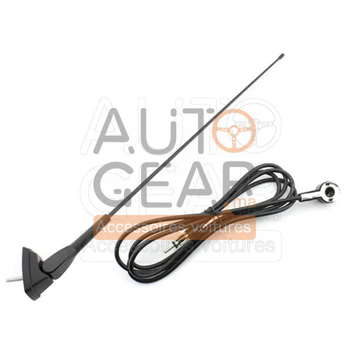 Antenne de toit universelle 75 cm pour voiture