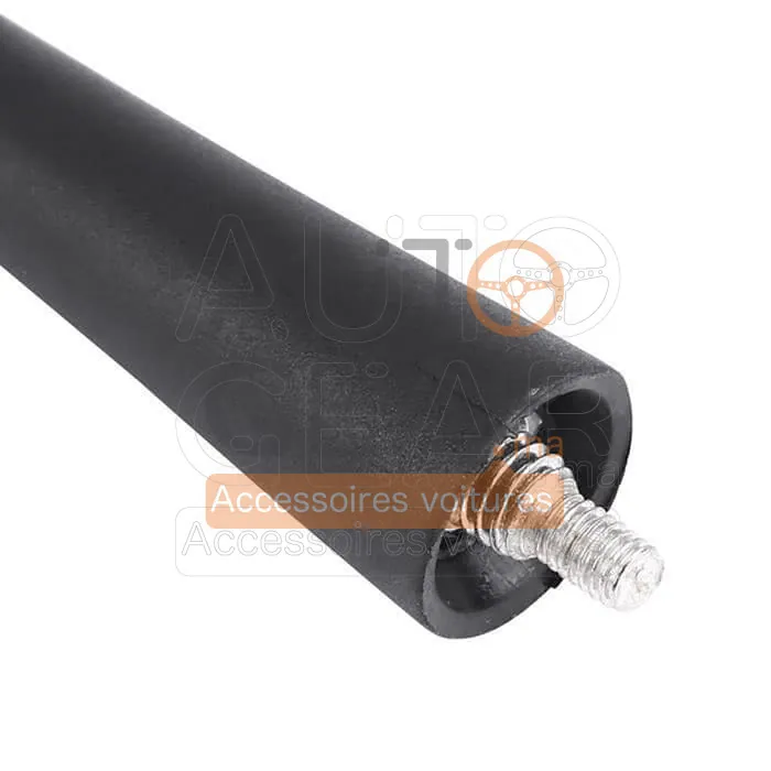 Antenne de toit courte universelle avec 2 vis vue 4