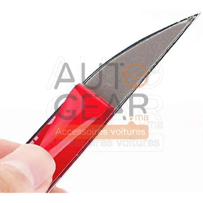 Badge FR Seat Chrome Autocollant vue 2