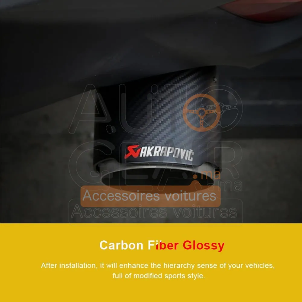 Embout d'Échappement Carbone Brillant Style AKRAPOVIC vue 2